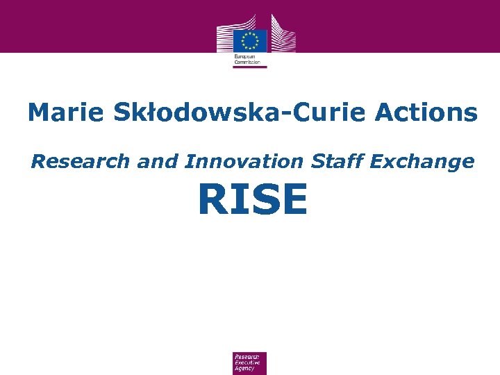 Marie Skłodowska-Curie Actions Research and Innovation Staff Exchange RISE 