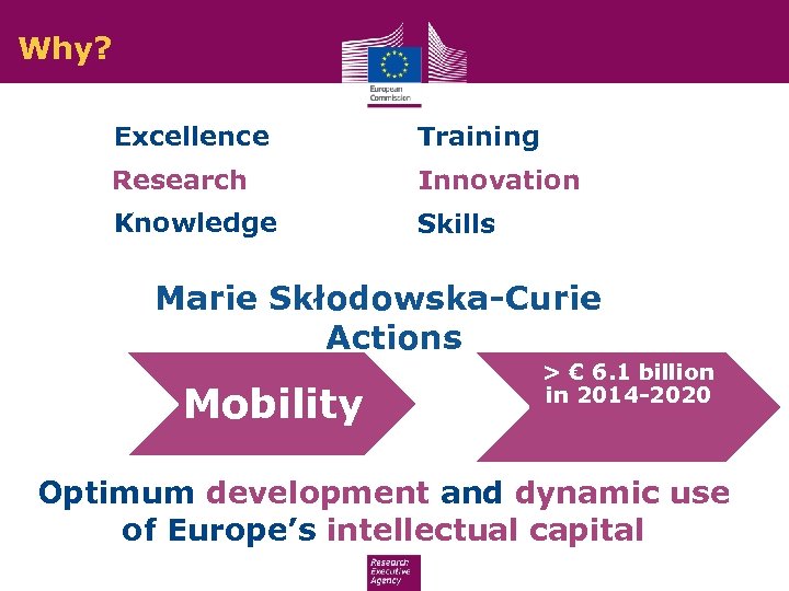 Why? Excellence Training Research Innovation Knowledge Skills Marie Skłodowska-Curie Actions Mobility > € 6.