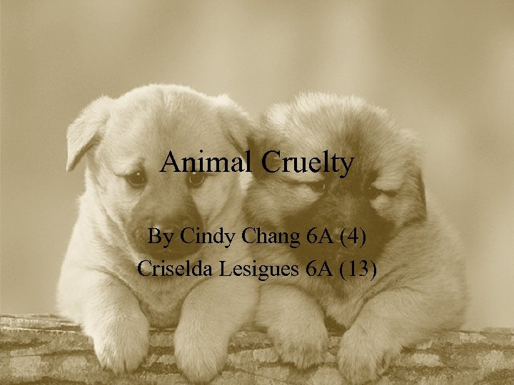 Animal Cruelty By Cindy Chang 6 A (4) Criselda Lesigues 6 A (13) 