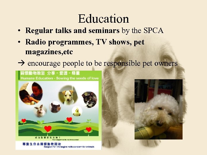 Education • Regular talks and seminars by the SPCA • Radio programmes, TV shows,