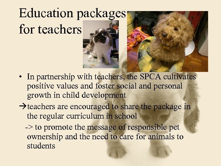 Education packages for teachers • In partnership with teachers, the SPCA cultivates positive values
