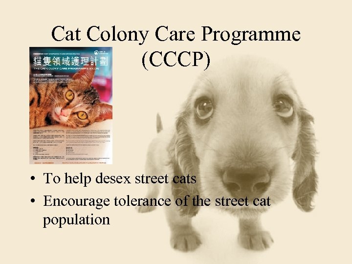 Cat Colony Care Programme (CCCP) • To help desex street cats • Encourage tolerance
