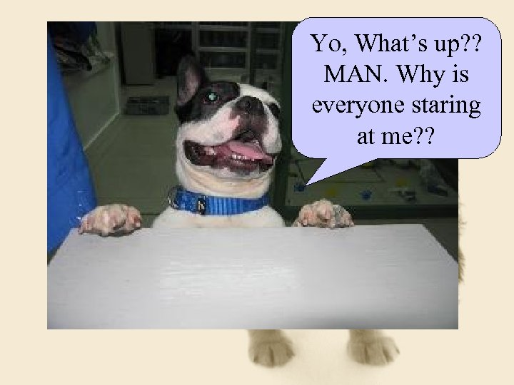 Yo, What’s up? ? MAN. Why is everyone staring at me? ? 