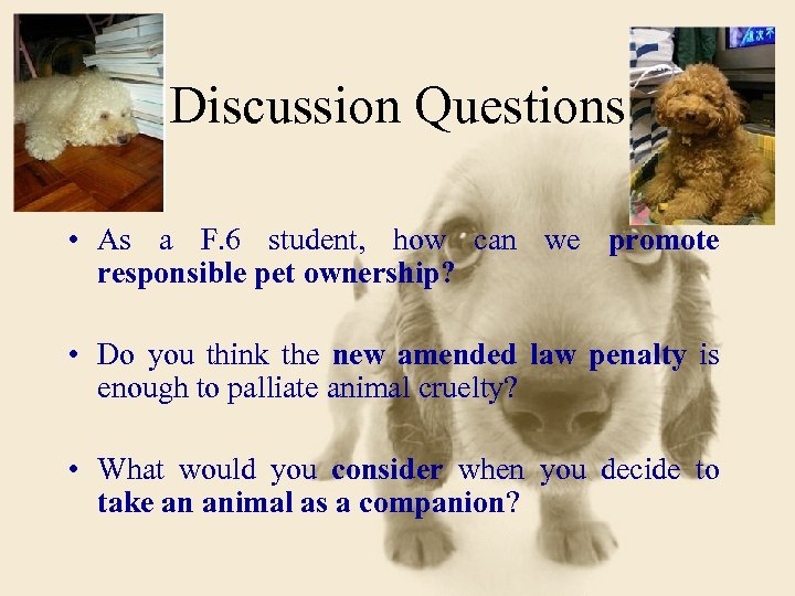 Discussion Questions • As a F. 6 student, how can we promote responsible pet