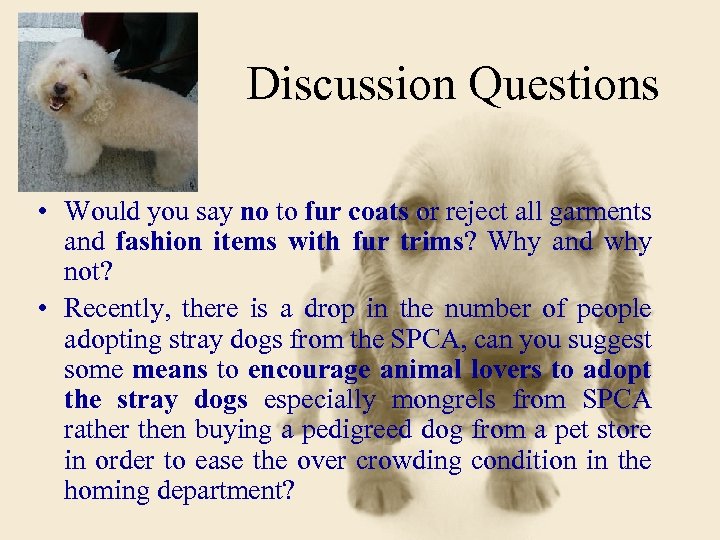 Discussion Questions • Would you say no to fur coats or reject all garments