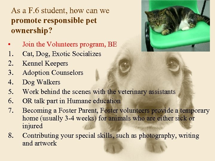 As a F. 6 student, how can we promote responsible pet ownership? • 1.