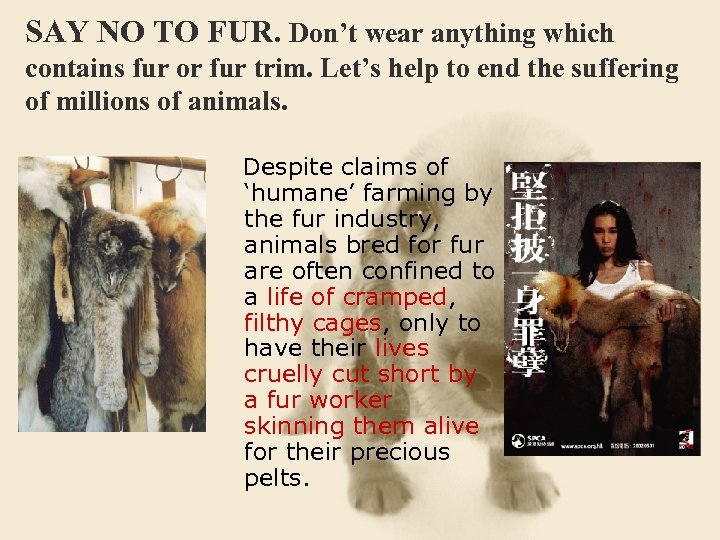 SAY NO TO FUR. Don’t wear anything which contains fur or fur trim. Let’s