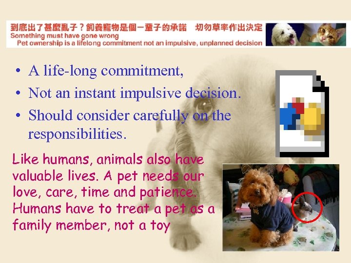  • A life-long commitment, • Not an instant impulsive decision. • Should consider