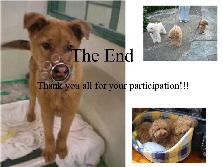 The End Thank you all for your participation!!! 