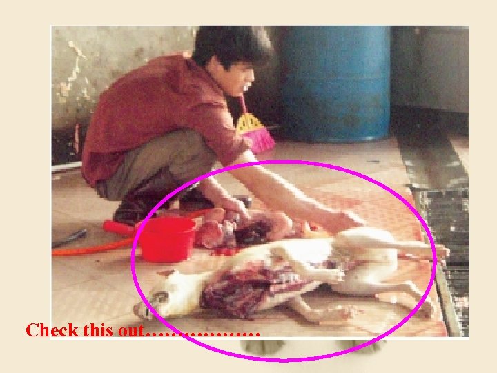 Check this out……………… 