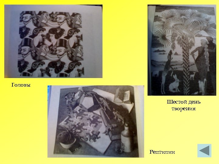 Головы Шестой день творения Рептилии 