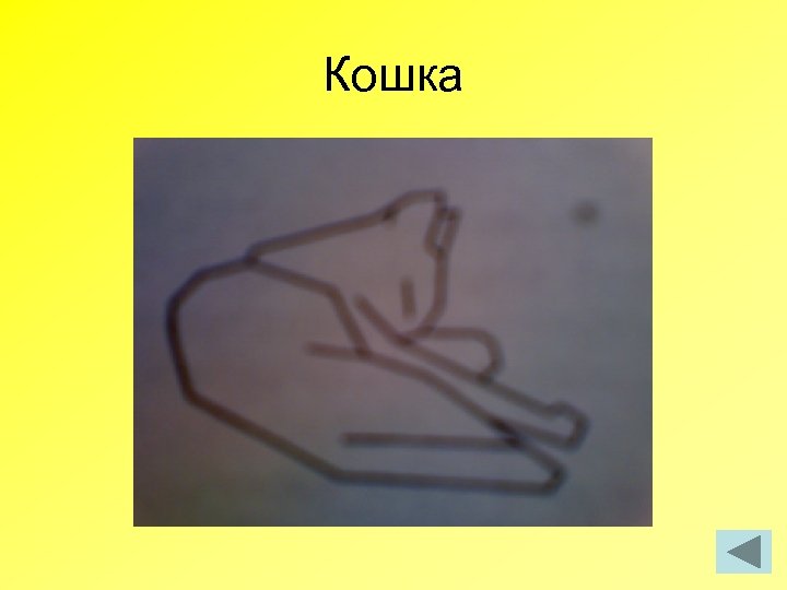 Кошка 