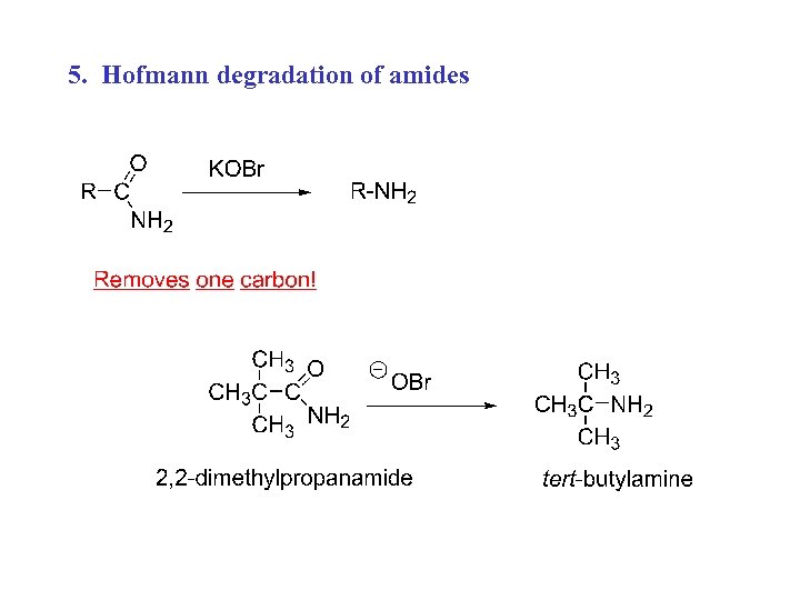 5. Hofmann degradation of amides 