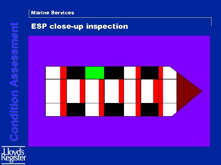 Condition Assessment Marine Services ESP close-up inspection 