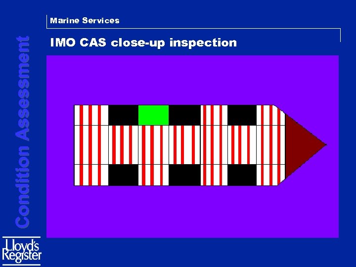 Condition Assessment Marine Services IMO CAS close-up inspection 