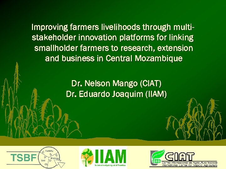 Improving farmers livelihoods through multistakeholder innovation platforms for linking smallholder farmers to research, extension