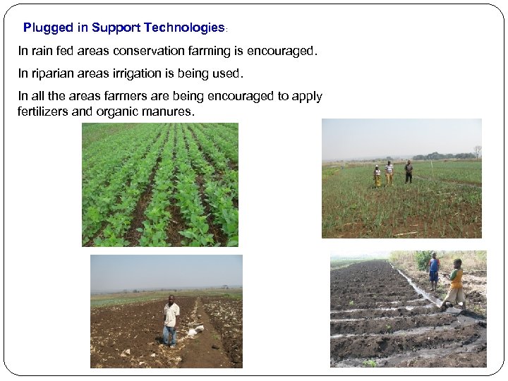  Plugged in Support Technologies: In rain fed areas conservation farming is encouraged. In