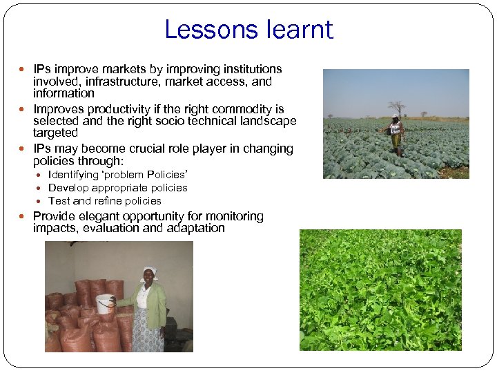 Lessons learnt IPs improve markets by improving institutions involved, infrastructure, market access, and information