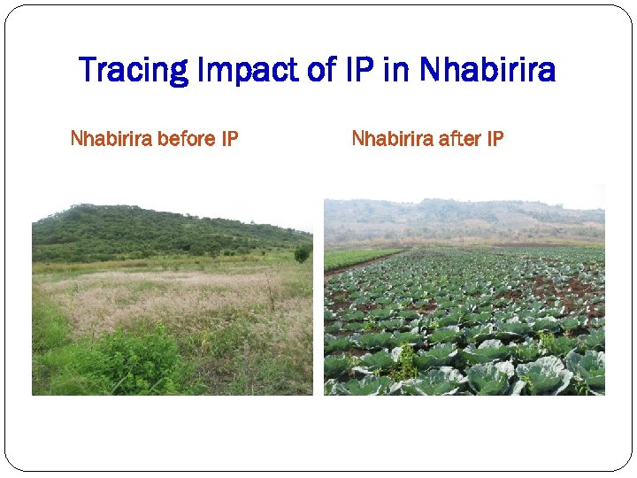 Tracing Impact of IP in Nhabirira before IP Nhabirira after IP 