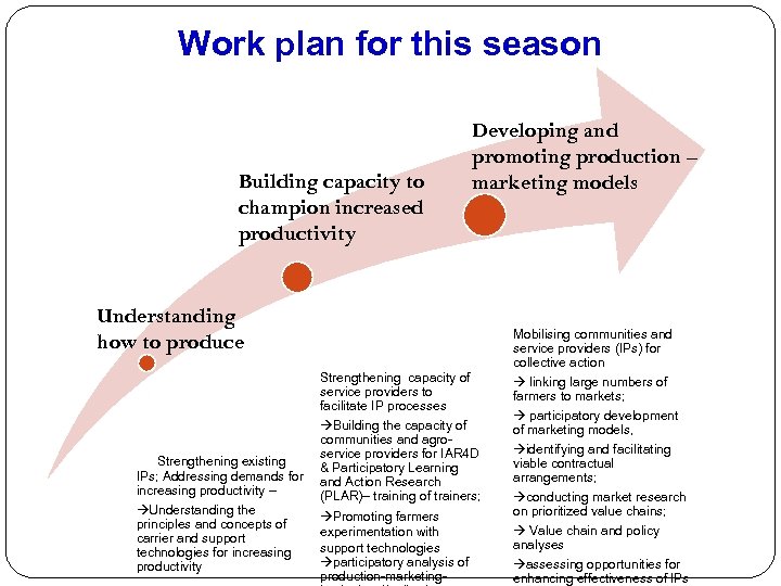 Work plan for this season Building capacity to champion increased productivity Developing and promoting