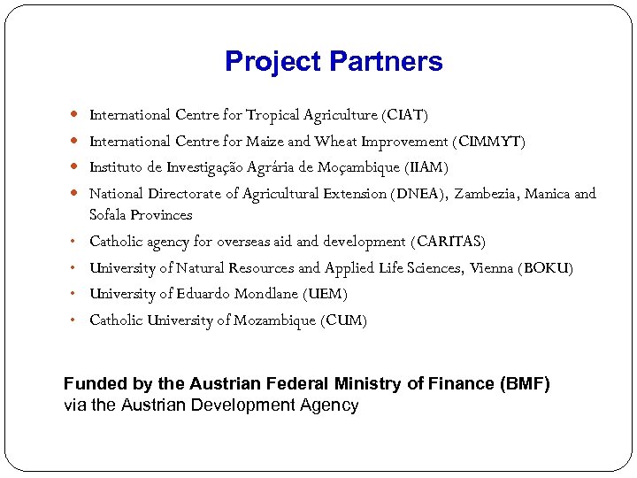 Project Partners International Centre for Tropical Agriculture (CIAT) International Centre for Maize and Wheat