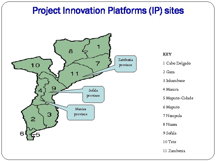 Project Innovation Platforms (IP) sites KEY Zambezia province 1 Cabo Delgado 2 Gaza 3