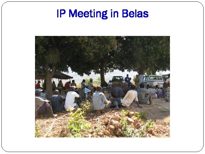 IP Meeting in Belas 