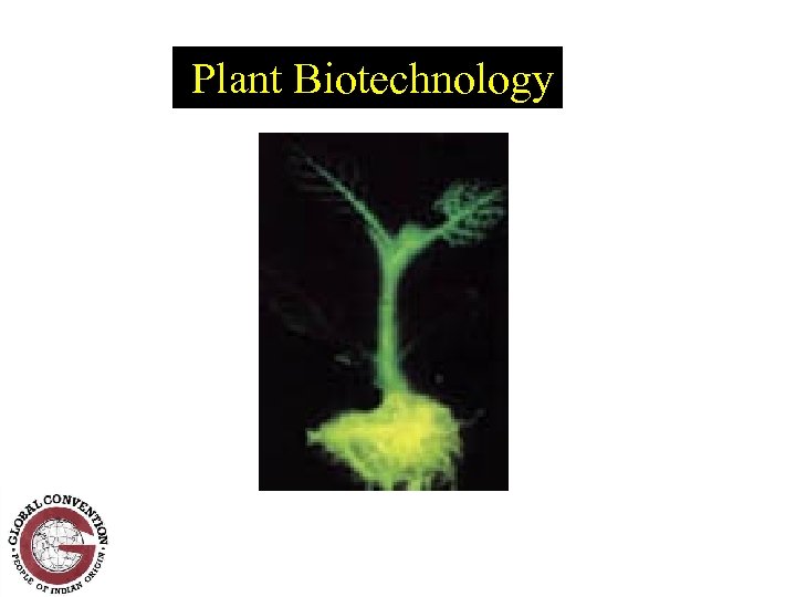 Plant Biotechnology 