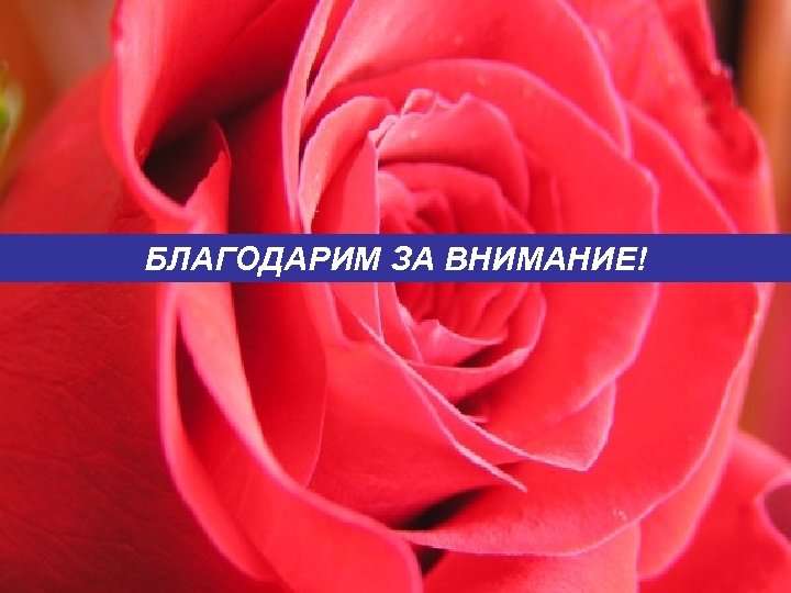 БЛАГОДАРИМ ЗА ВНИМАНИЕ! 