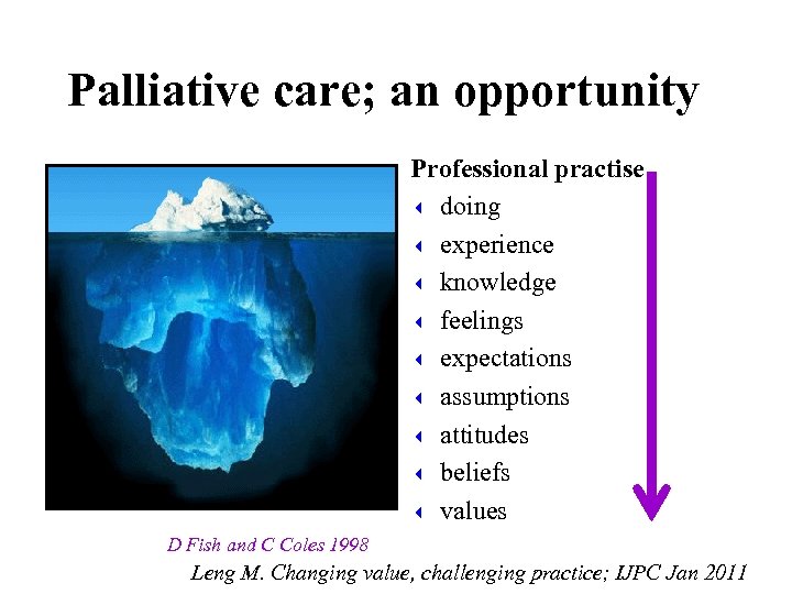 Palliative care; an opportunity Professional practise 3 doing 3 experience 3 knowledge 3 feelings