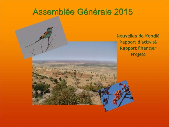 Assemblée Générale 2015 Nouvelles de Kendié Rapport d’activité Rapport financier Projets 