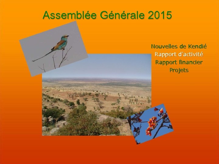 Assemblée Générale 2015 Nouvelles de Kendié Rapport d’activité Rapport financier Projets 