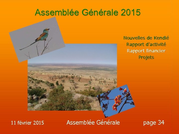 Assemblée Générale 2015 Nouvelles de Kendié Rapport d’activité Rapport financier Projets 11 février 2015