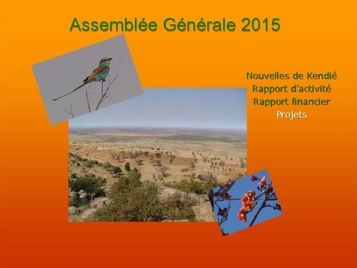Assemblée Générale 2015 Nouvelles de Kendié Rapport d’activité Rapport financier Projets 