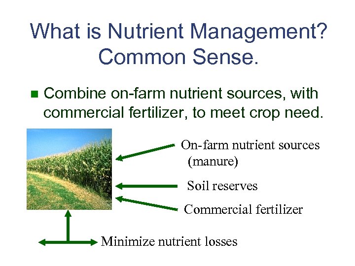 What is Nutrient Management? Common Sense. n Combine on-farm nutrient sources, with commercial fertilizer,