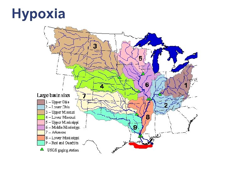 Hypoxia 