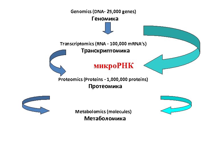 Genomics (DNA- 25, 000 genes) Геномика Transcriptomics (RNA - 100, 000 m. RNA’s) Транскриптомика