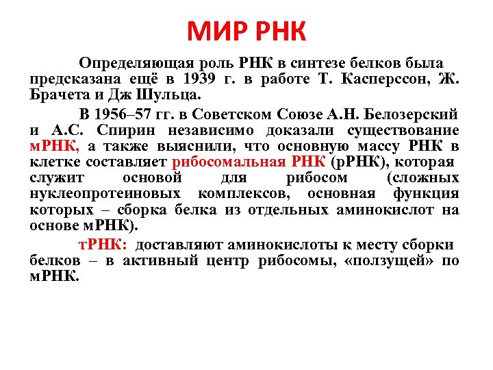 МИР РНК Определяющая роль РНК в синтезе белков была предсказана ещё в 1939 г.