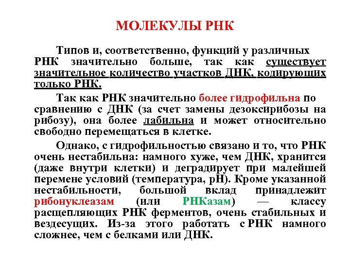 МОЛЕКУЛЫ РНК Типов и, соответственно, функций у различных РНК значительно больше, так как существует