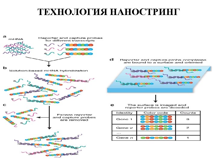 ТЕХНОЛОГИЯ НАНОСТРИНГ 
