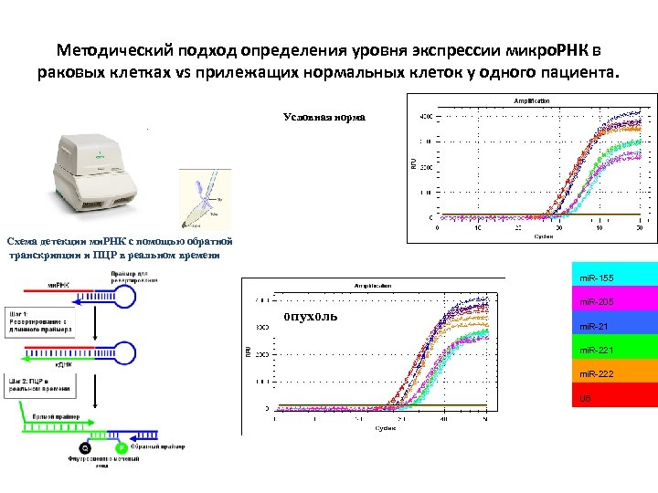 Методический подход определения уровня экспрессии микро. РНК в раковых клетках vs прилежащих нормальных клеток
