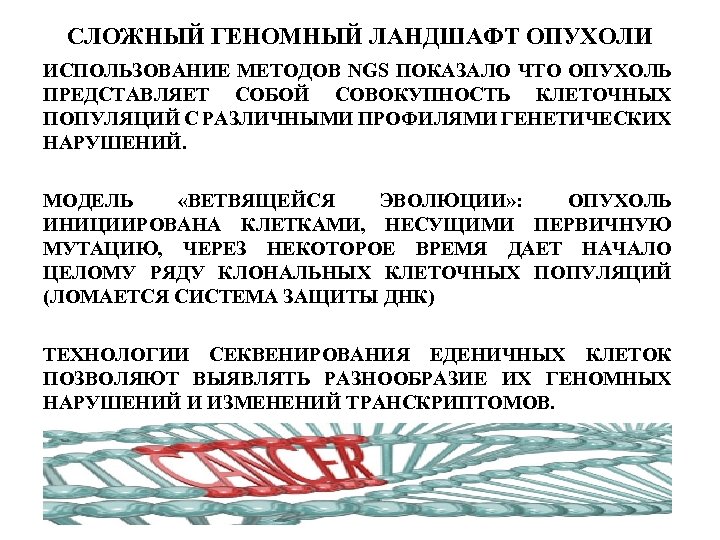 СЛОЖНЫЙ ГЕНОМНЫЙ ЛАНДШАФТ ОПУХОЛИ ИСПОЛЬЗОВАНИЕ МЕТОДОВ NGS ПОКАЗАЛО ЧТО ОПУХОЛЬ ПРЕДСТАВЛЯЕТ СОБОЙ СОВОКУПНОСТЬ КЛЕТОЧНЫХ