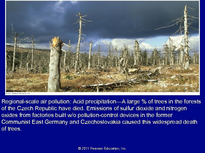 Regional-scale air pollution: Acid precipitation—A large % of trees in the forests of the