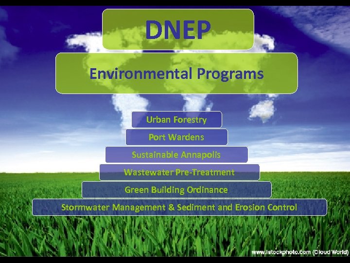 DNEP Environmental Programs Urban Forestry Port Wardens Sustainable Annapolis Wastewater Pre-Treatment Green Building Ordinance