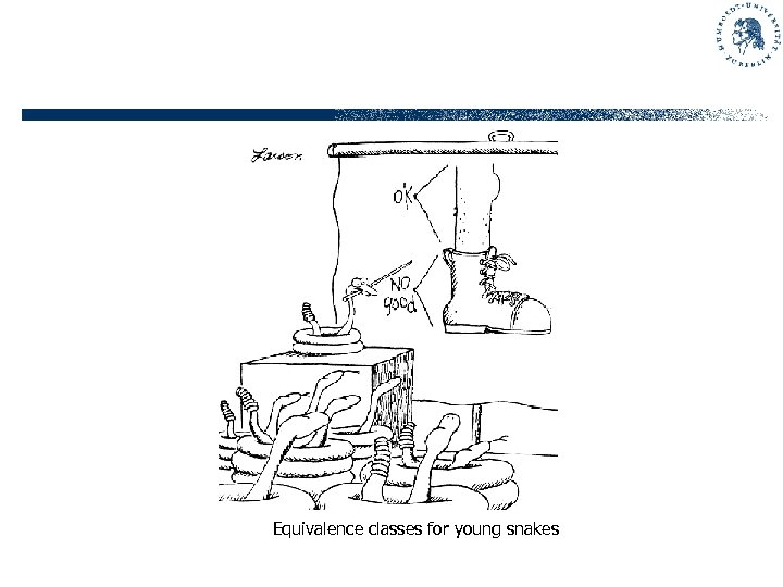 Equivalence classes for young snakes 