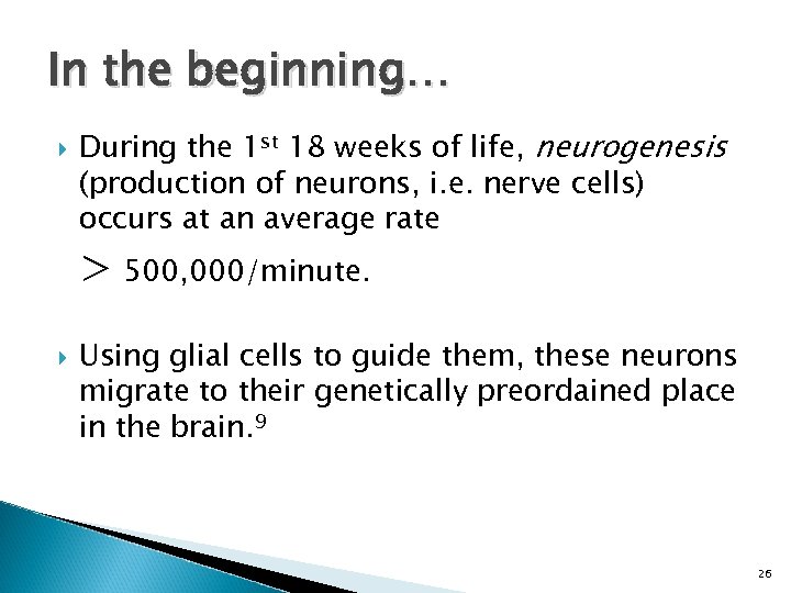 In the beginning… During the 1 st 18 weeks of life, neurogenesis (production of