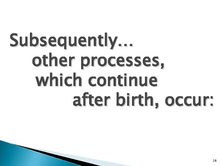 Subsequently… other processes, which continue after birth, occur: 28 