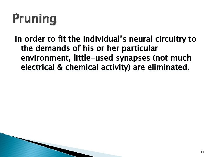 Pruning In order to fit the individual’s neural circuitry to the demands of his