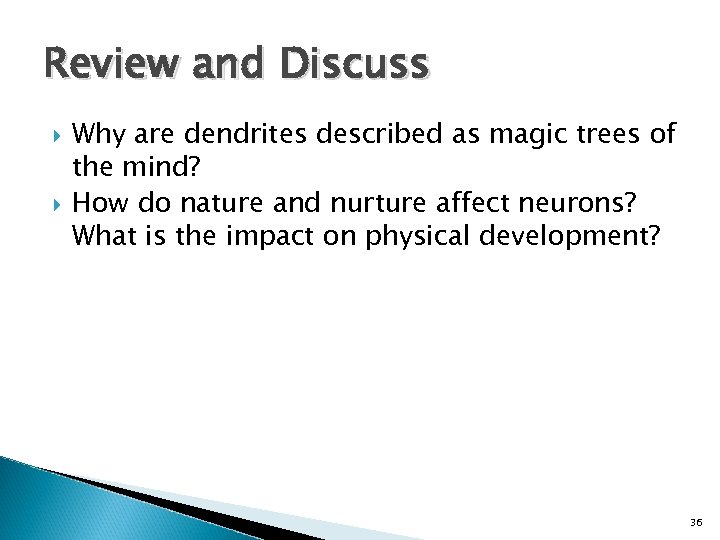 Review and Discuss Why are dendrites described as magic trees of the mind? How