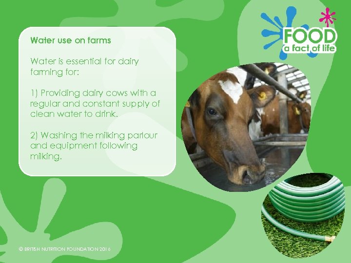 Water use on farms Water is essential for dairy farming for: 1) Providing dairy